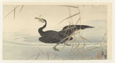 Cormoran avec poisson - Ohara Koson