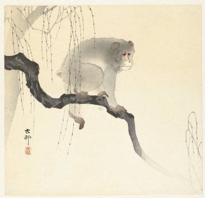 Singe sur une branche - Ohara Koson