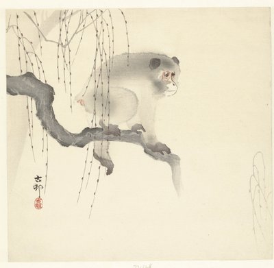 Singe sur une branche d