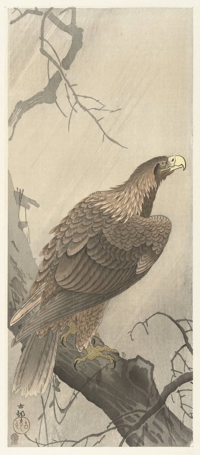 Aigle sur une branche - Ohara Koson