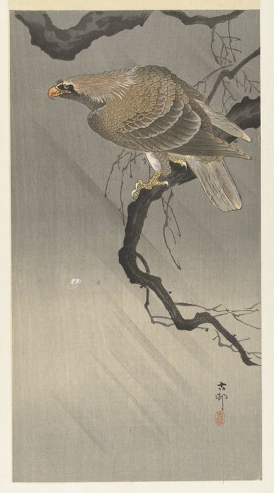 Aigle sur une branche - Ohara Koson