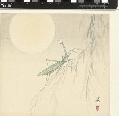 Mante religieuse - Ohara Koson