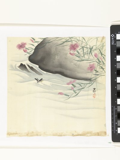 Fleurs au bord de l