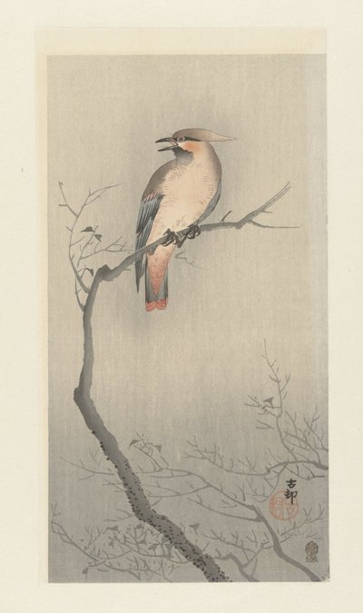Jaseur boréal sur une branche - Ohara Koson