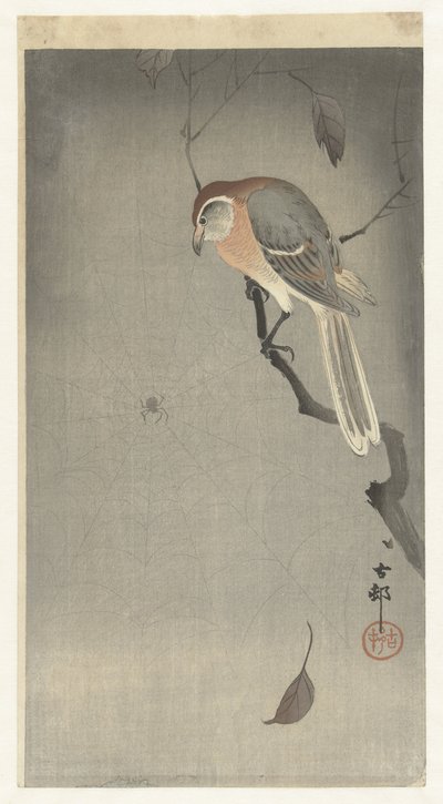 Pie-grièche à tête rousse et araignée - Ohara Koson