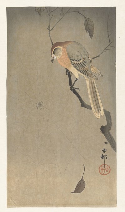 Pie-grièche à tête brune et araignée - Ohara Koson