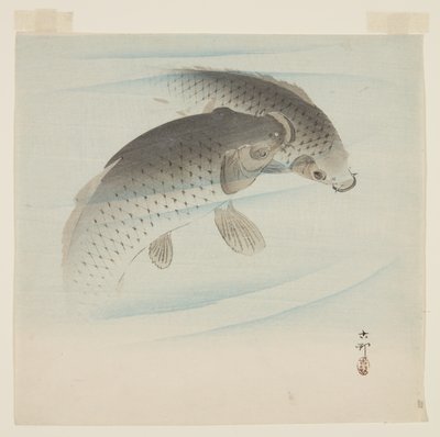 Carpe - Ohara Koson