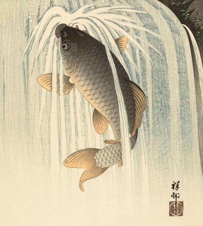 Carpes sous une cascade, par l