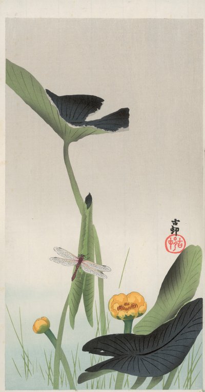 Libellule et Lotus - Ohara Koson