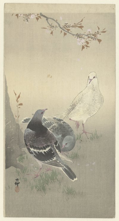 Trois pigeons apprivoisés - Ohara Koson