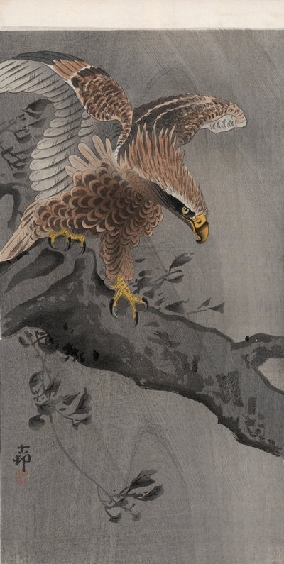 Aigle aux ailes déployées sur un tronc d