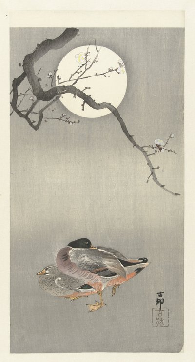 Canards sous la pleine lune - Ohara Koson