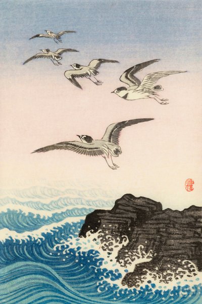 Cinq Mouettes au-dessus d