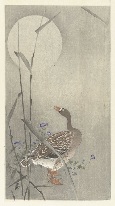 Oie sous la pleine lune - Ohara Koson