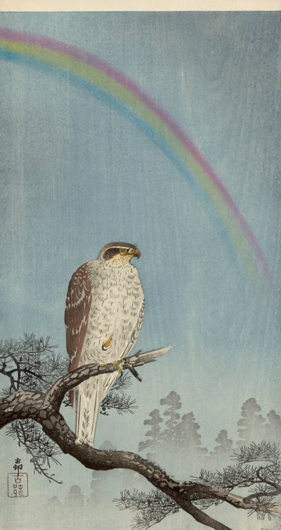 Autour sur un pin avec un arc-en-ciel au-dessus - Ohara Koson