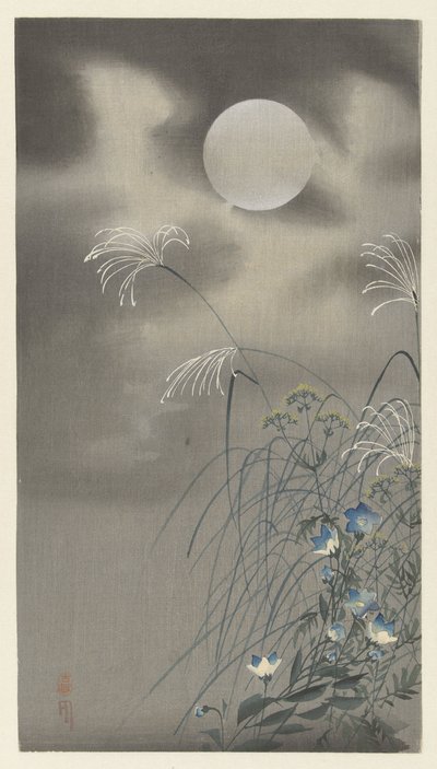Herbes et fleurs sous une pleine lune - Ohara Koson
