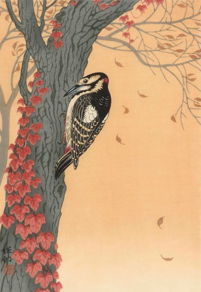 Grand pic épeiche dans un arbre avec du lierre rouge, 20ème siècle (impression japonaise) - Ohara Koson
