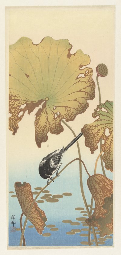 Bergeronnette japonaise sur une plante de lotus - Ohara Koson