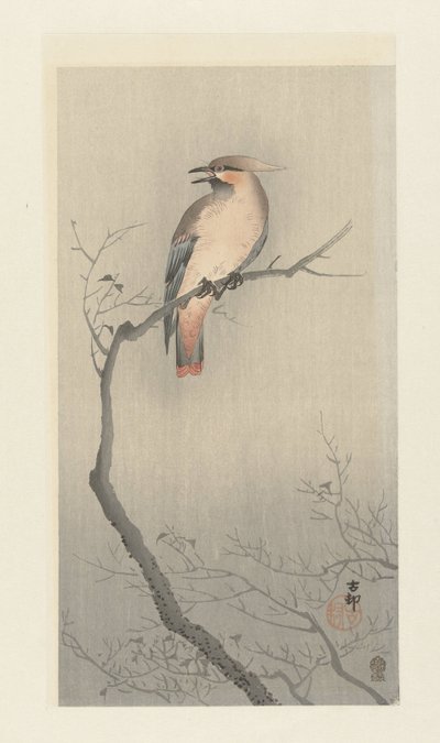 Oiseau japonais sur une branche - Ohara Koson