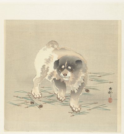 Jeune chien - Ohara Koson