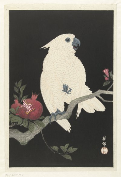 Cacatoès et grenade - Ohara Koson