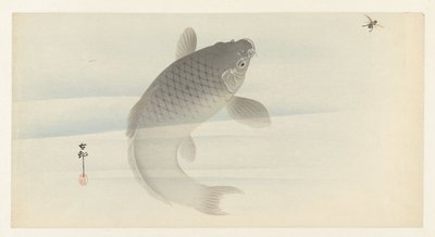 Carpe et mouche - Ohara Koson