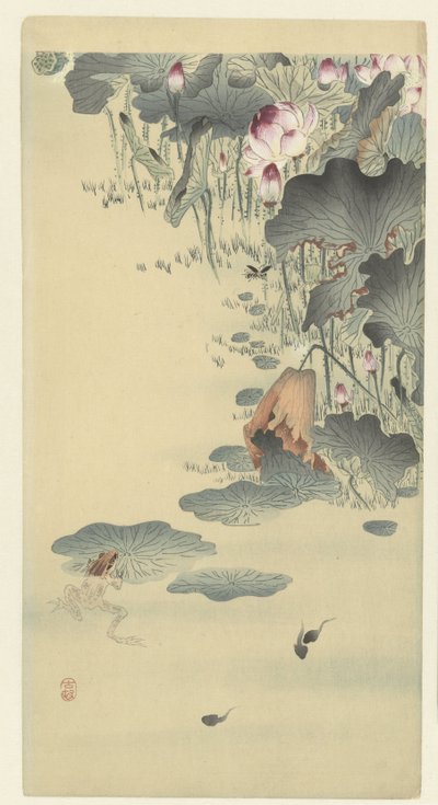 Grenouille et têtards - Ohara Koson