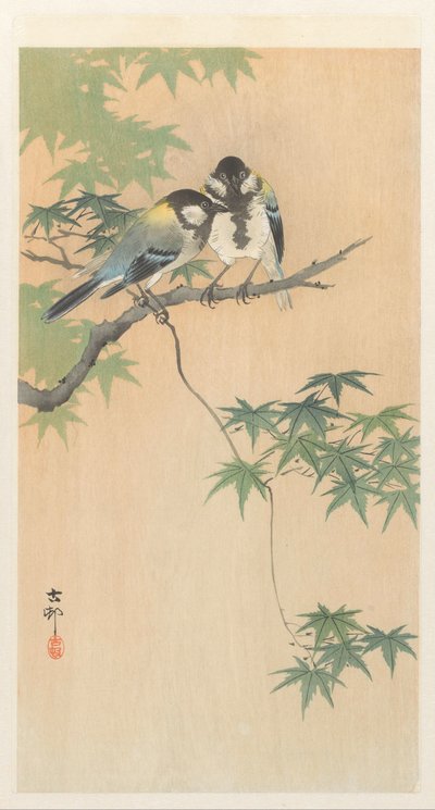 Mésanges sur une branche d