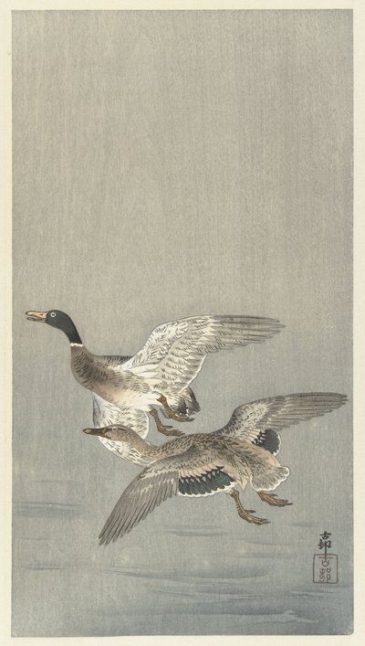 Couple de canards - Ohara Koson