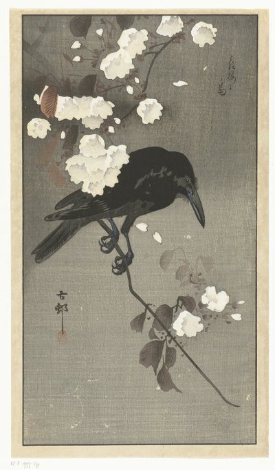 Corbeau avec fleur de cerisier - Ohara Koson