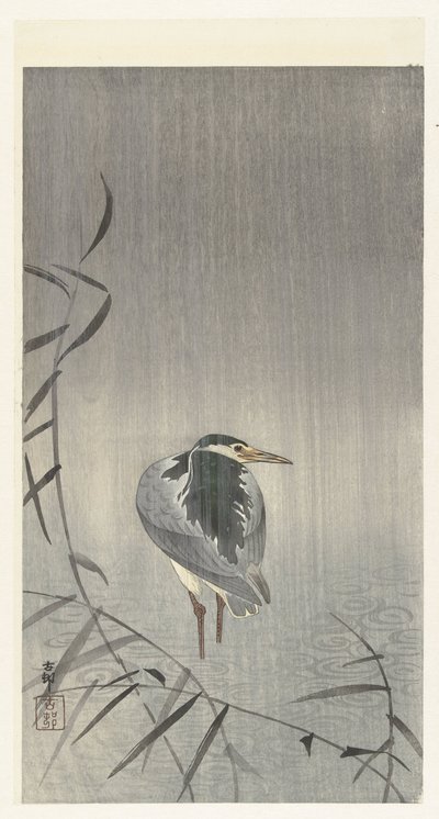 Canard sous la pluie - Ohara Koson