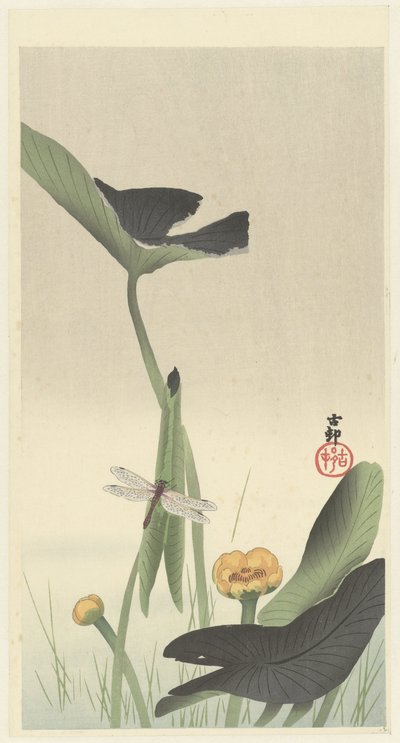 Libellule et lotus - Ohara Koson