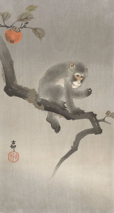 Singe dans un arbre fruitier, 1900-30 - Ohara Koson
