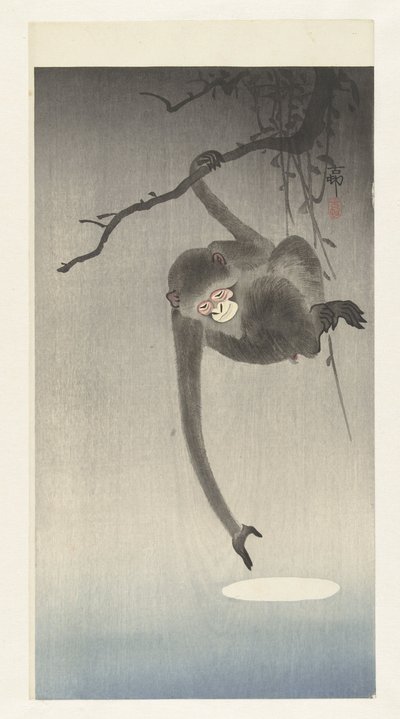 Singe atteignant le reflet de la lune - Ohara Koson