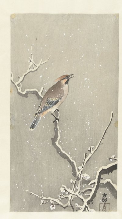 Jaseur boréal sur une branche enneigée - Ohara Koson
