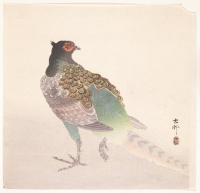Faisan - Ohara Koson