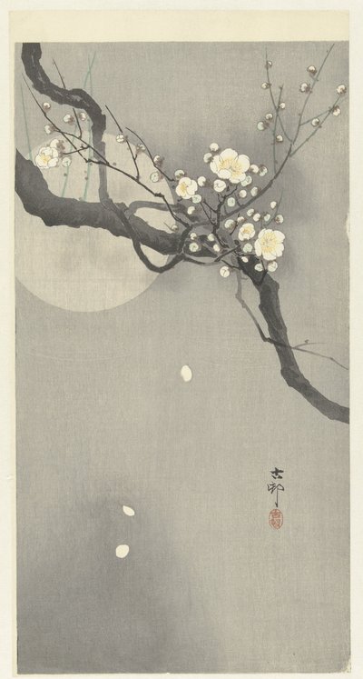 Fleurs de prunier et pleine lune - Ohara Koson
