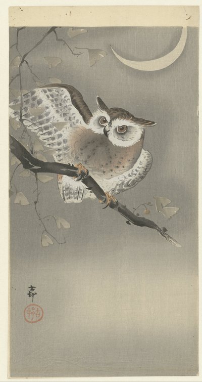 Hibou moyen-duc dans un ginkgo - Ohara Koson