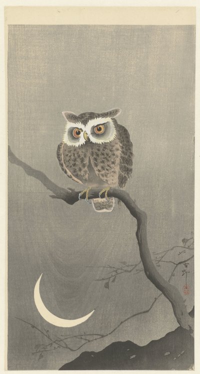 Hibou moyen-duc sur une branche nue - Ohara Koson