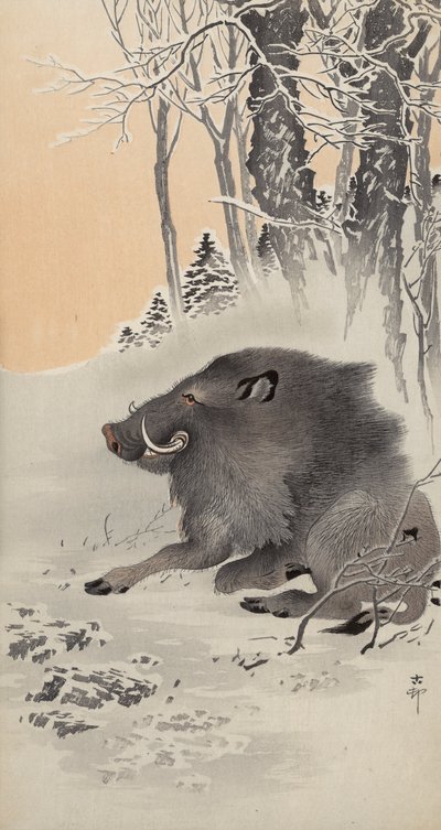 Sanglier couché dans un paysage enneigé - Ohara Koson