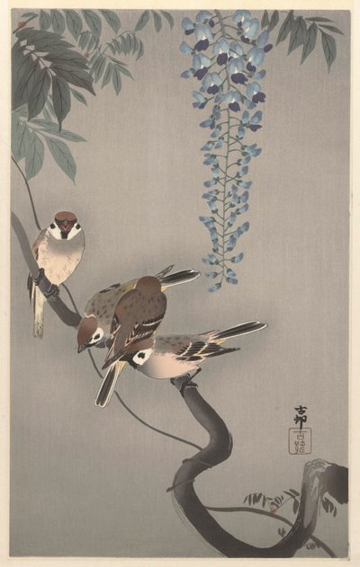 Moineaux à collier près de la glycine - Ohara Koson