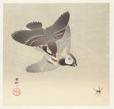 Moineaux et insecte - Ohara Koson