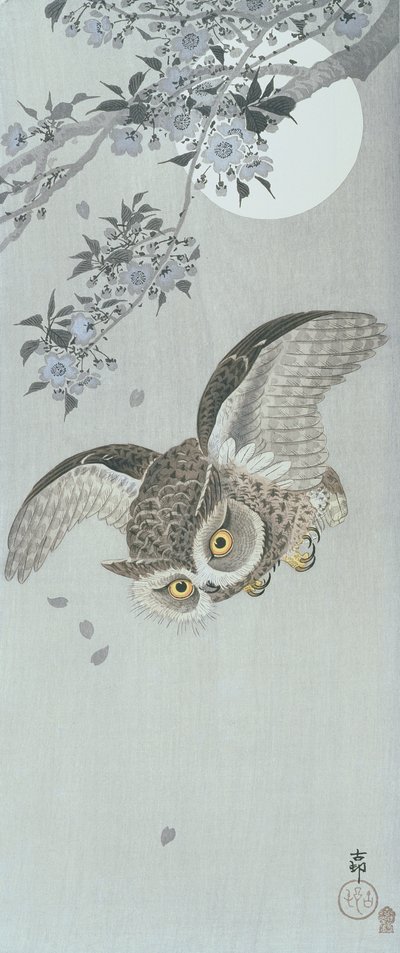 Chouette en vol avec des fleurs et la pleine lune - Ohara Koson