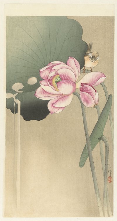 Oiseau chanteur et lotus - Ohara Koson