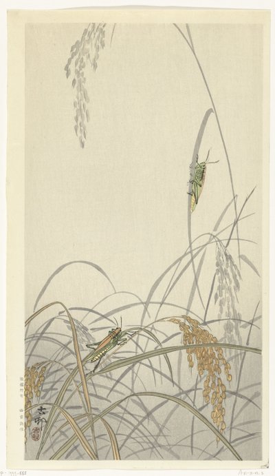 Sauterelles sur des plants de riz - Ohara Koson