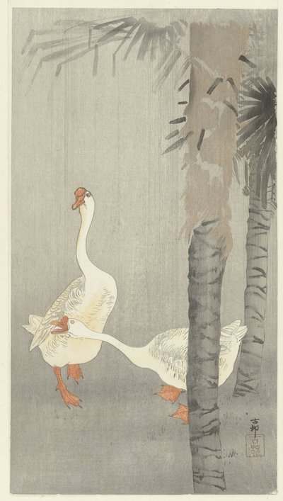 Oies domestiques sous la pluie - Ohara Koson