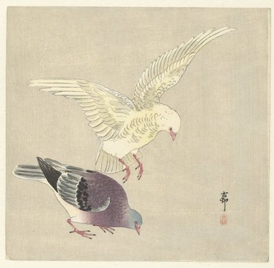 Deux pigeons - Ohara Koson