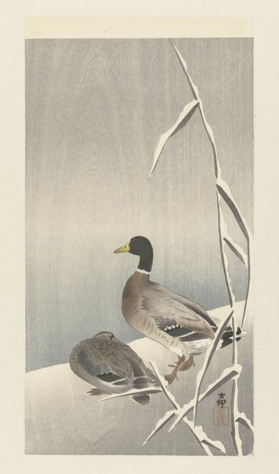 Deux canards sur des roseaux enneigés - Ohara Koson