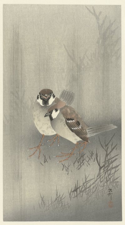Deux moineaux sous la pluie - Ohara Koson