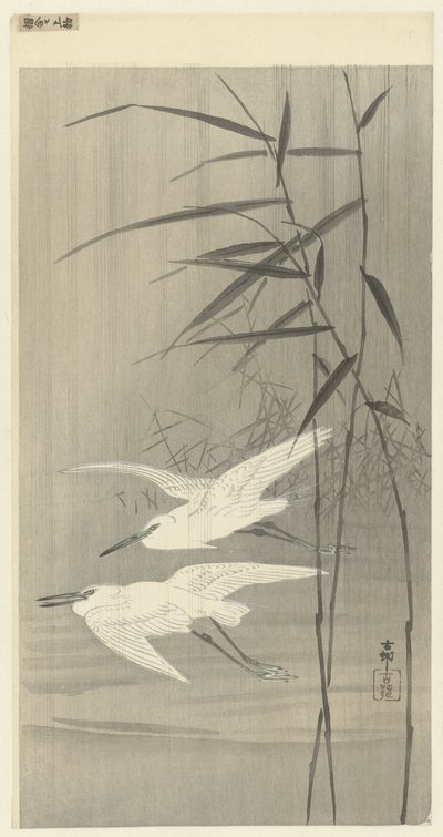Deux hérons argentés en vol - Ohara Koson